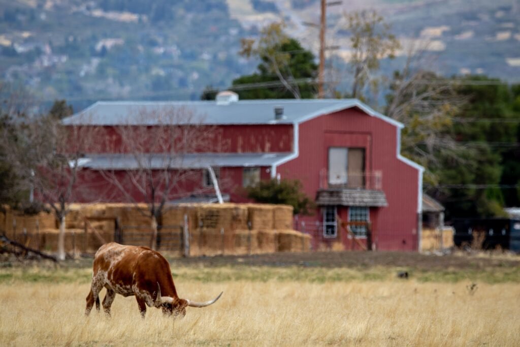 Ranch pexels eklect 5517010